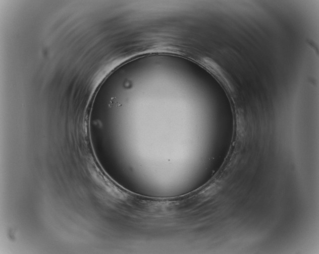 X0000102461292200808081219