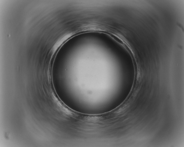 X0000102461293200808081219