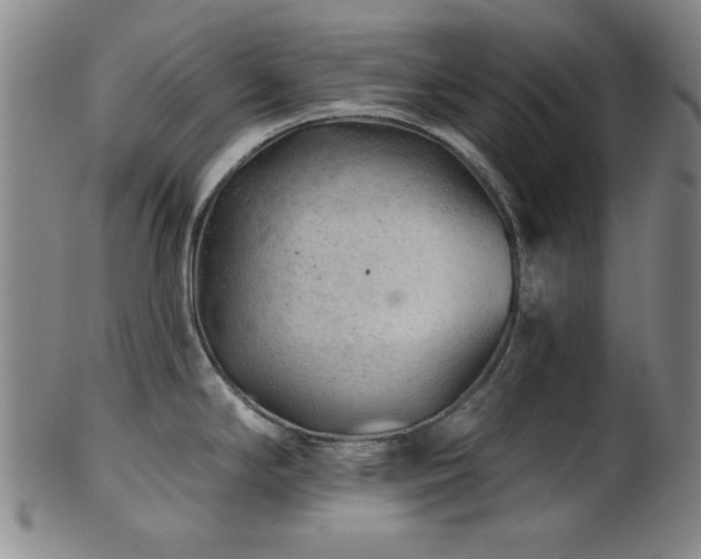 X0000102461294200808081219