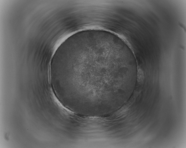 X0000102461295200808081219