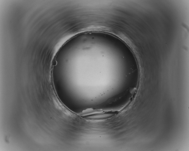 X0000102461296200808081219