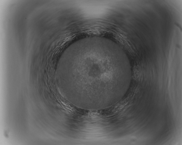 X0000102461297200808081218
