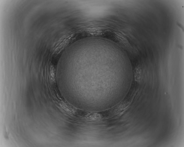 X0000102461298200808081218