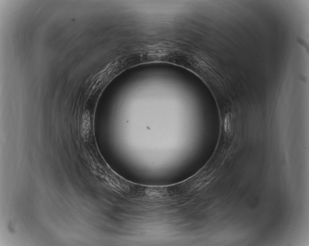 X0000102461299200808081218