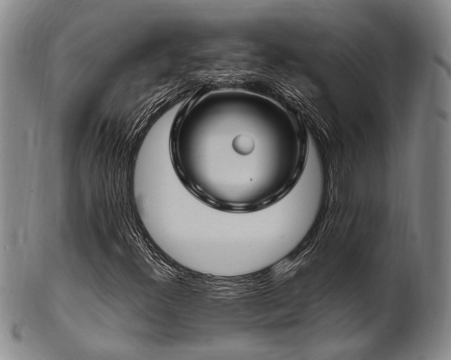 X0000102461300200808081218