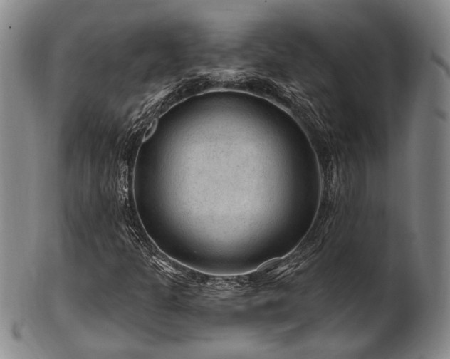 X0000102461301200808081218