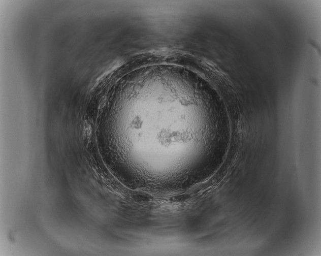 X0000102461302200808081218