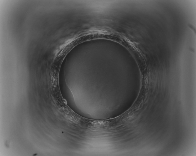 X0000102461303200808081218