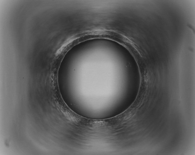 X0000102461304200808081218