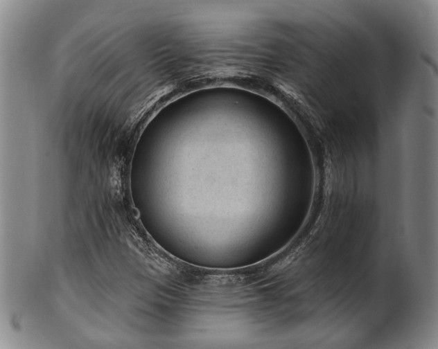X0000102461305200808081218
