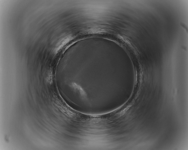 X0000102461306200808081218