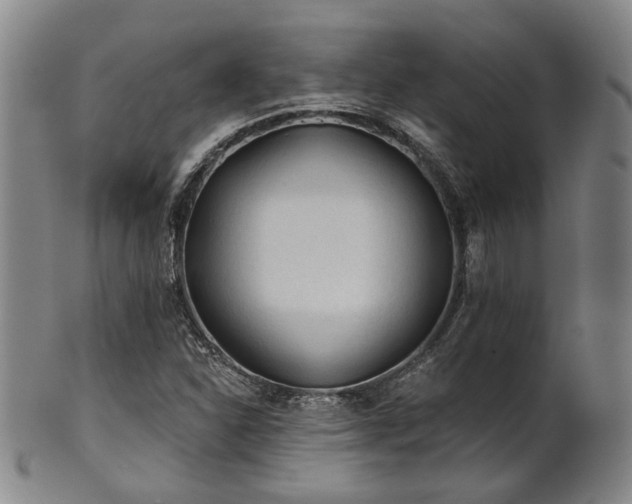 X0000102461310200808081219