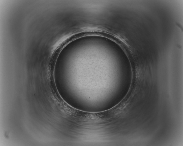X0000102461311200808081219