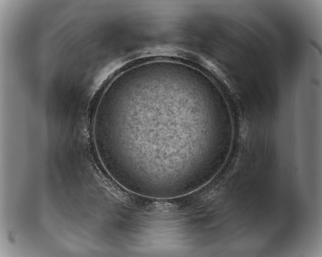 X0000102461312200808081219
