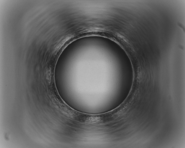X0000102461313200808081219