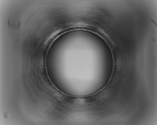 X0000102461315200808081219