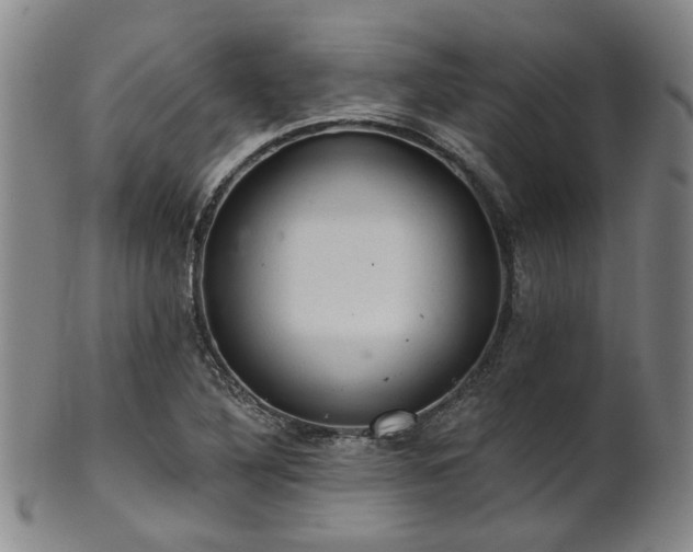 X0000102461316200808081219