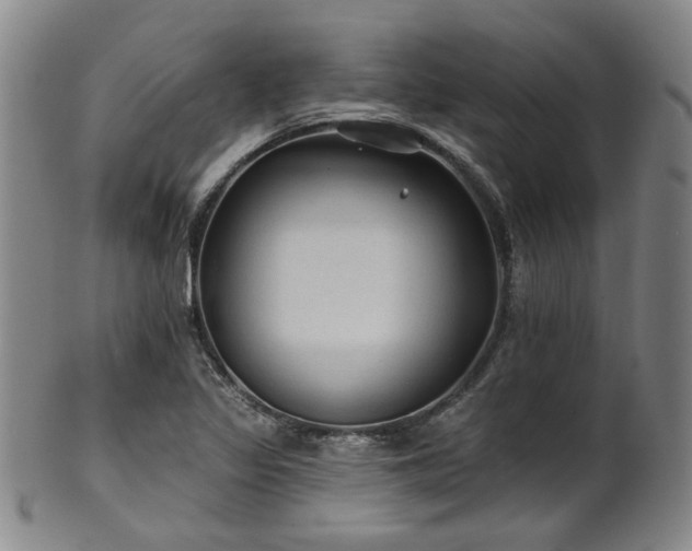 X0000102461317200808081219