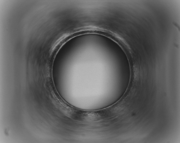 X0000102461318200808081219