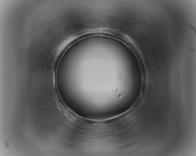 X0000102461320200808081219