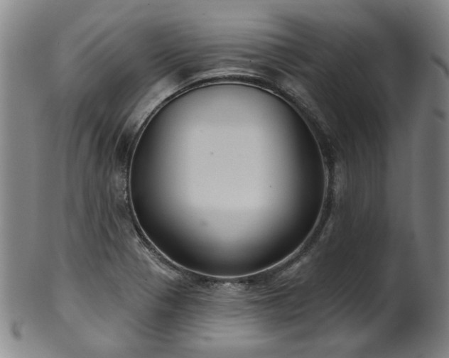 X0000102461321200808081219