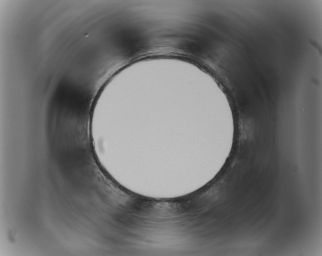X0000102461322200808081219