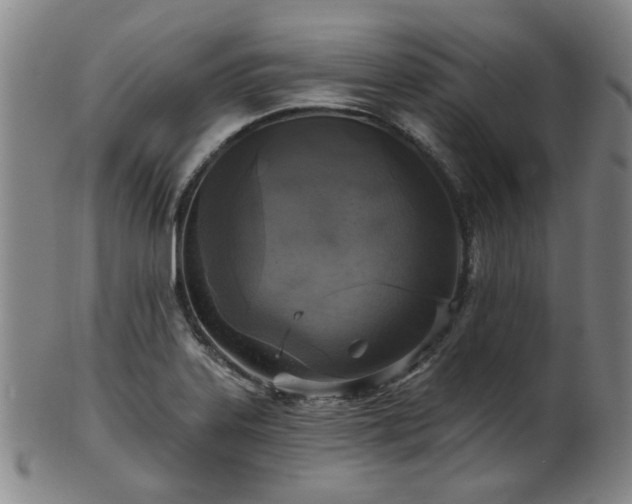 X0000102461323200808081219