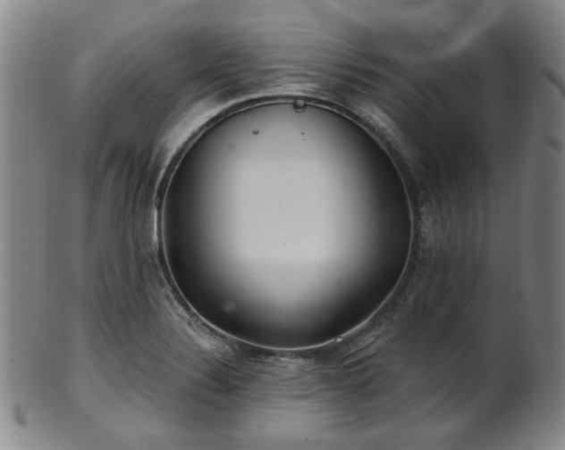 X0000102461324200808081219