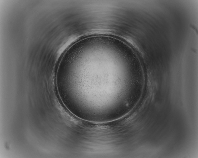 X0000102461325200808081219