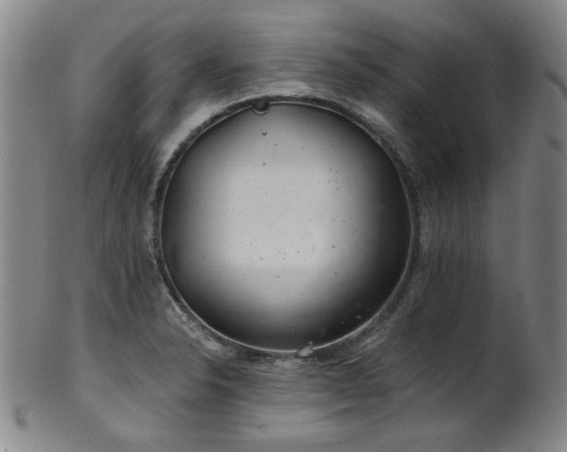 X0000102461326200808081219