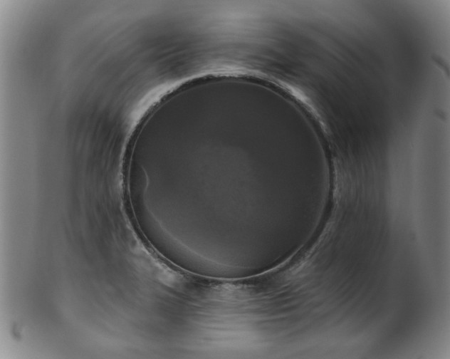 X0000102461327200808081219