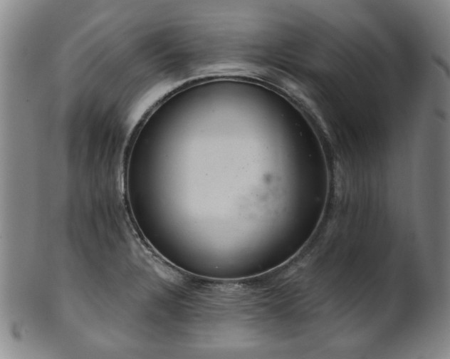 X0000102461328200808081219