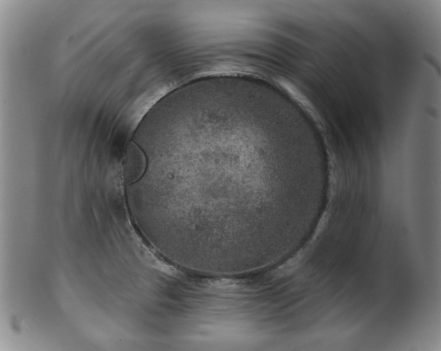 X0000102461329200808081219