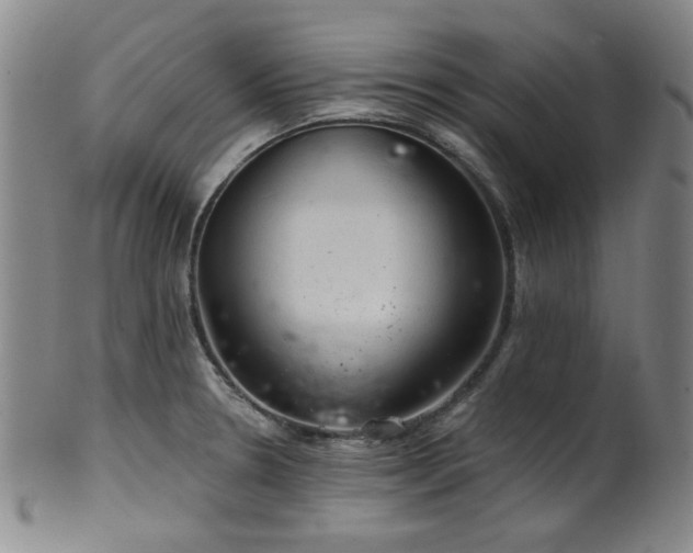 X0000102461330200808081219