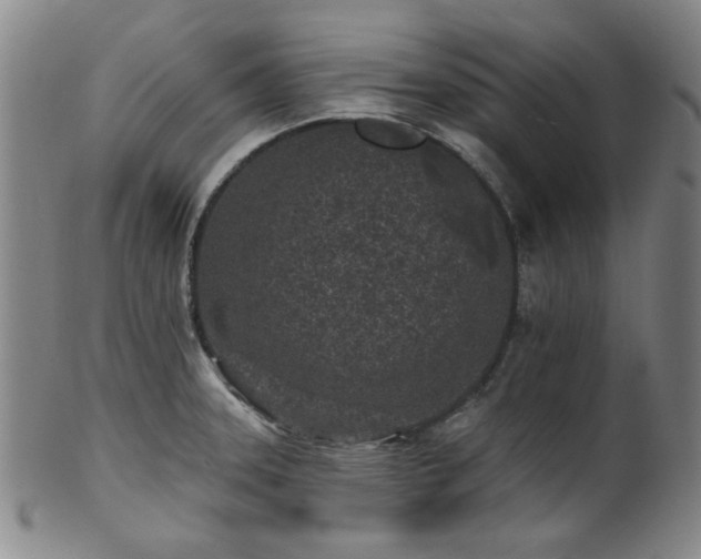 X0000102461331200808081219