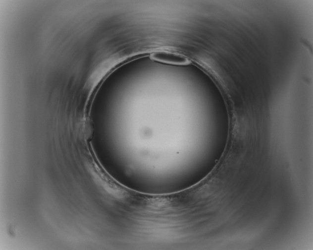 X0000102461332200808081219