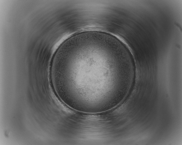 X0000102461333200808081219