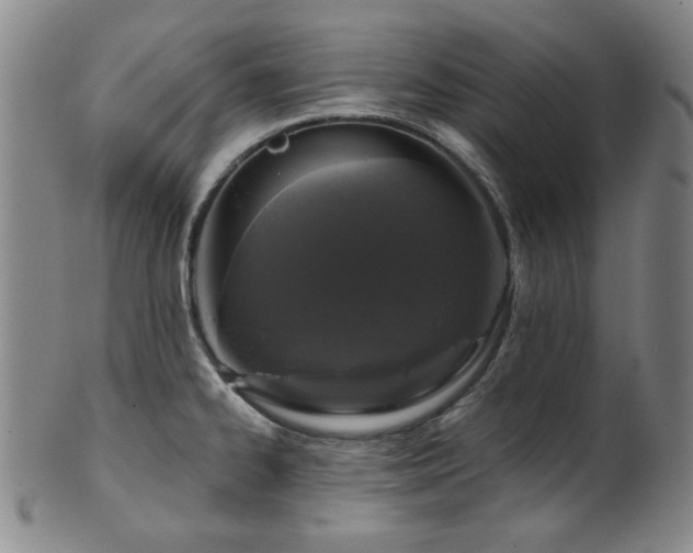 X0000102461334200808081219