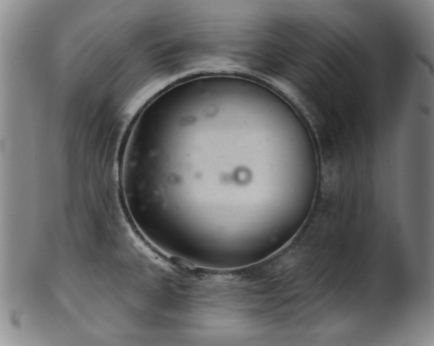 X0000102461335200808081219