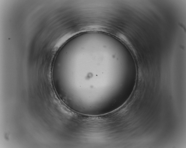 X0000102461336200808081219