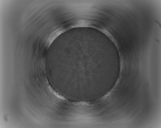 X0000102461337200808081219