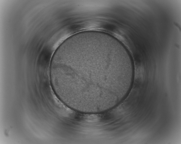 X0000102461338200808081219