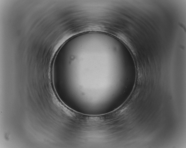 X0000102461339200808081219