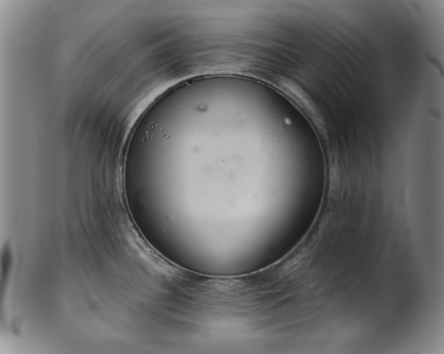 X0000102461340200808081219