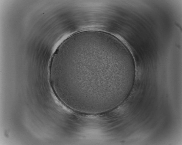 X0000102461341200808081219