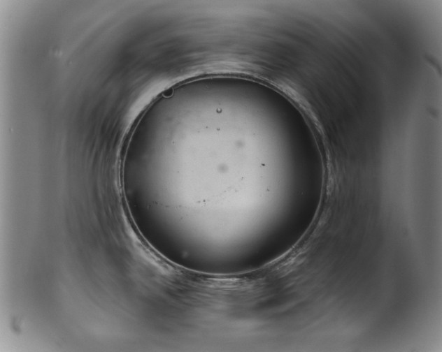 X0000102461342200808081219