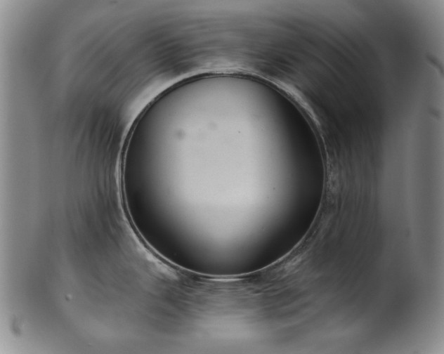 X0000102461343200808081219