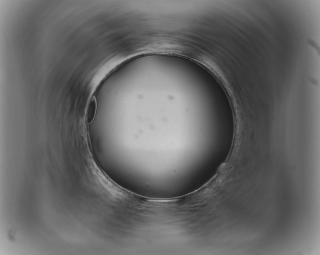 X0000102461344200808081219