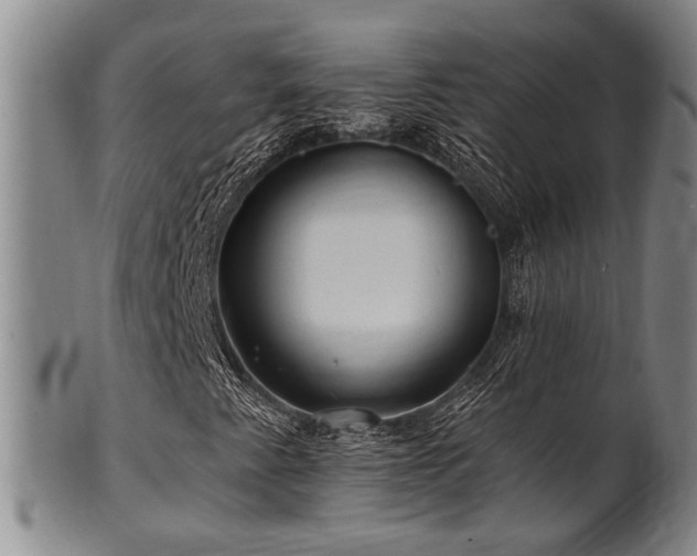 X0000102461345200808081218