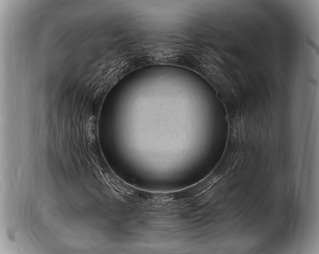 X0000102461346200808081218